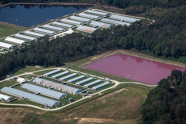 drone shot of factory farms