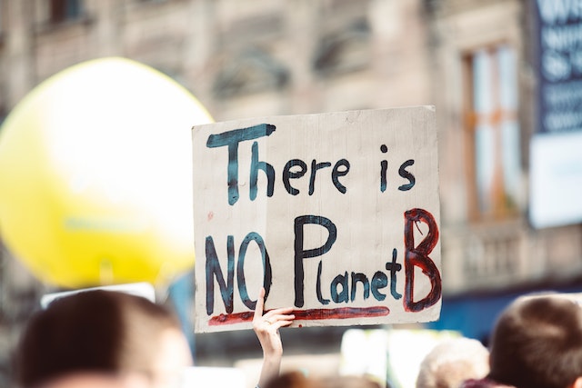 there is no planet b sign in protest